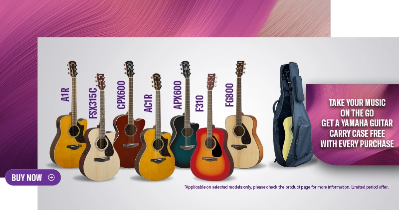 Guitar Bag Offer