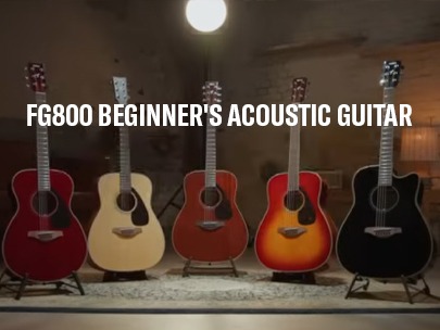 Yamaha FG800 Acoustic Guitar series