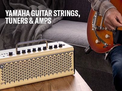 Guitar Strings, Tuners and Amplifiers, Buy Guitar Accessories Online
