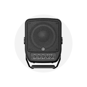 Portable PA System