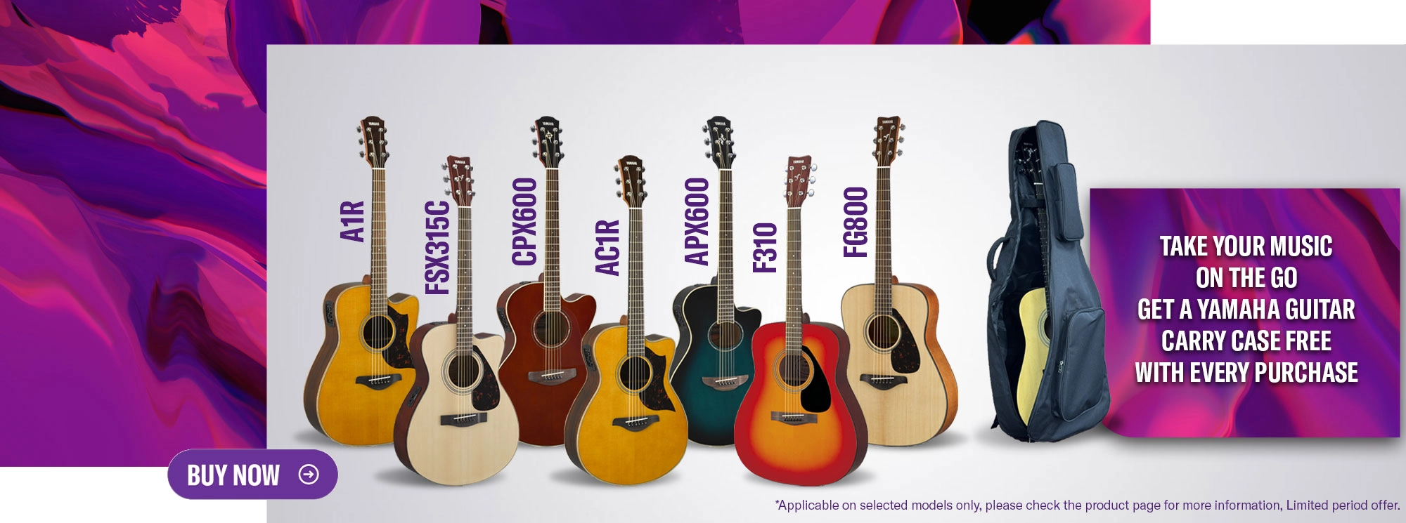 Guitar Carray Case