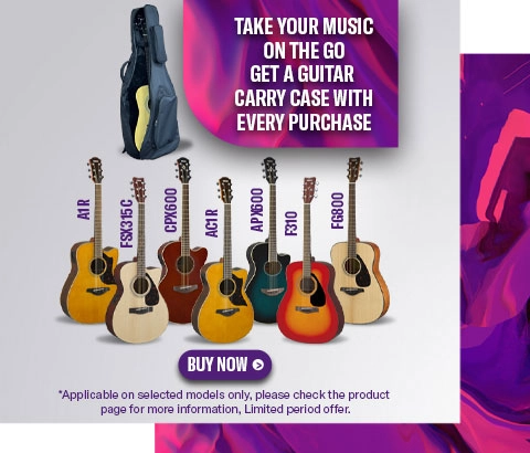 Guitar Carray Case