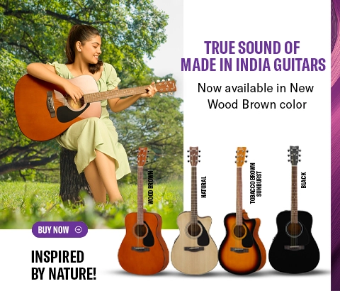 brown color guitars