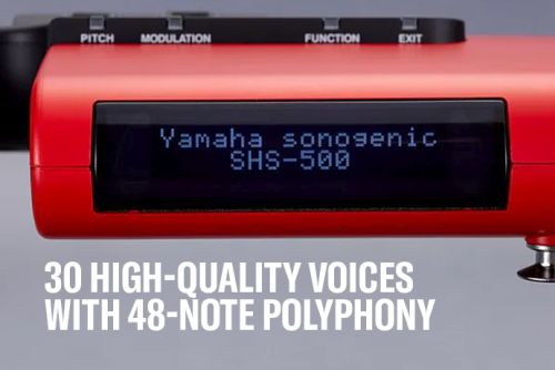 30 high-quality Voices (instrument sounds) with 48-note polyphony