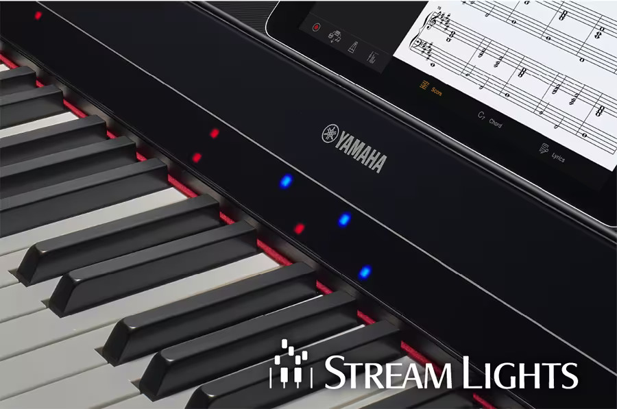 STREAM LIGHTS SHOW YOU THE WAY