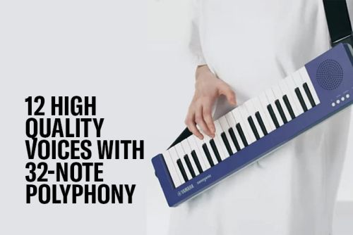 12 high quality Voices (instrument sounds) with 32-note polyphony