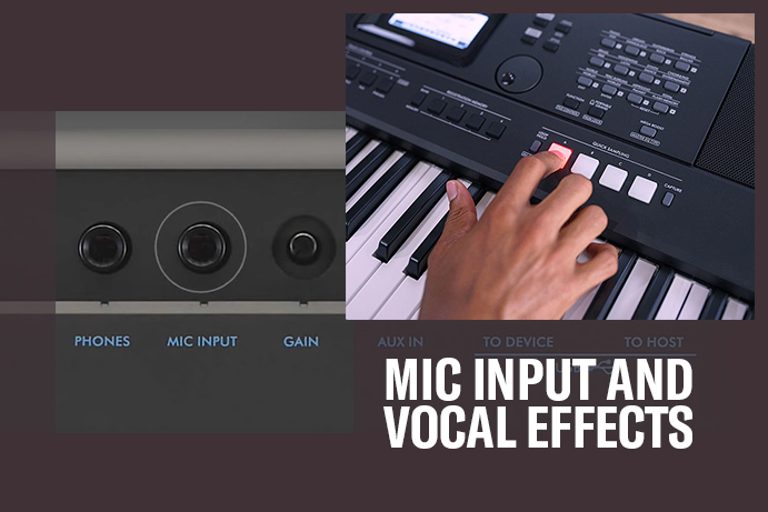 Mic input and vocal effects