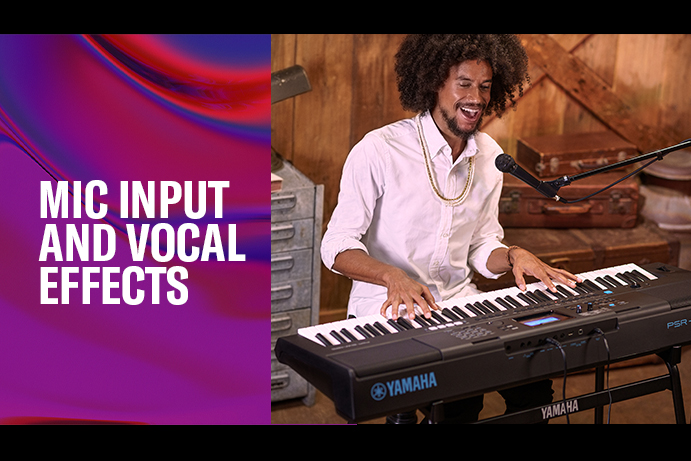 Mic input and vocal effects