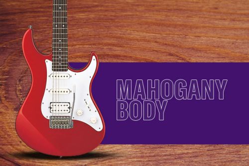 Mahogany body