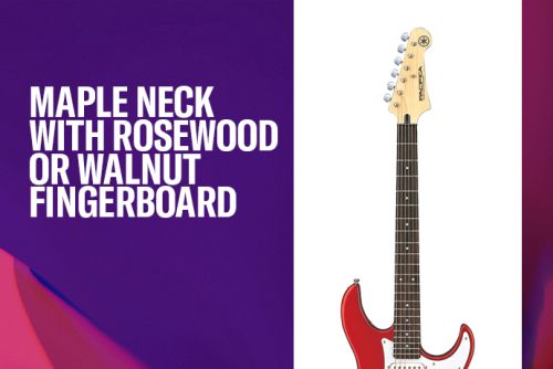 Maple neck with rosewood or walnut fingerboard