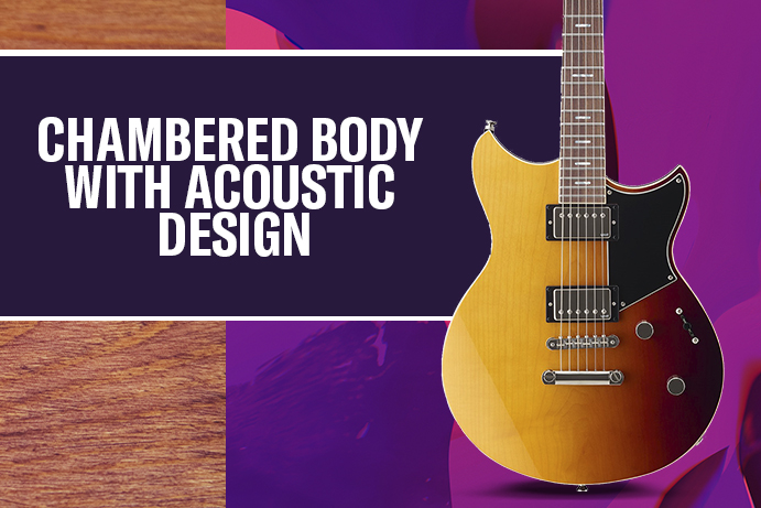 CHAMBERED BODY WITH ACOUSTIC DESIGN