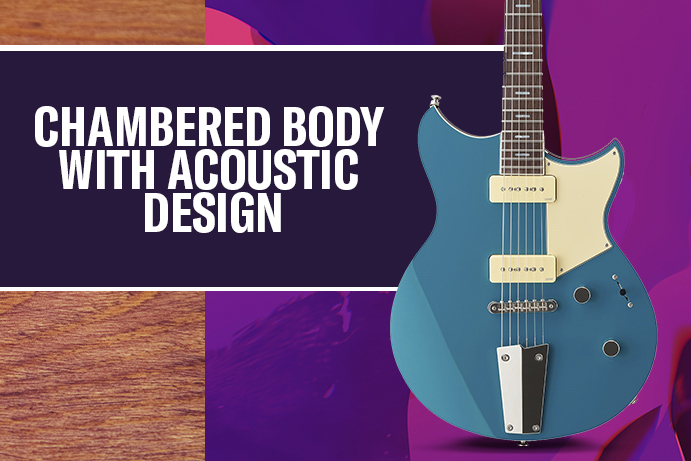 CHAMBERED BODY WITH ACOUSTIC DESIGN