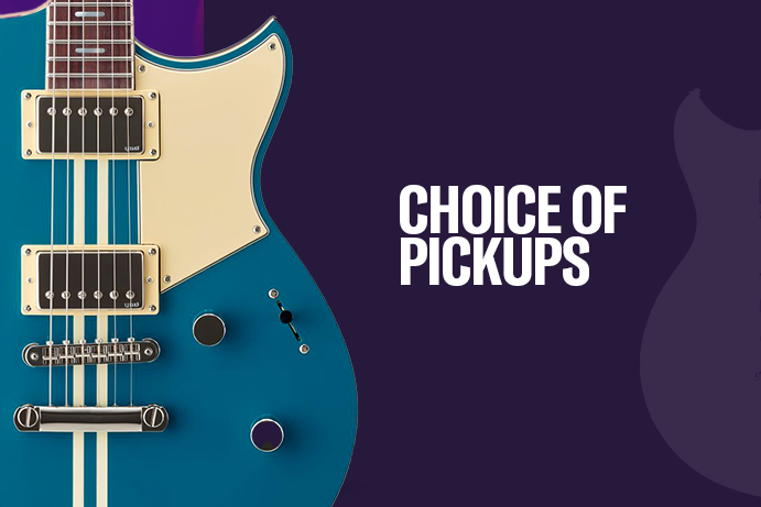 CHOICE OF PICKUPS