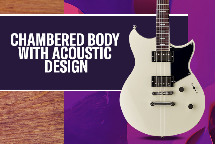 CHAMBERED BODY WITH ACOUSTIC DESIGN