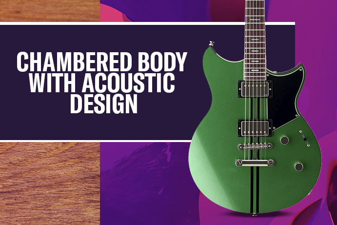 CHAMBERED BODY WITH ACOUSTIC DESIGN