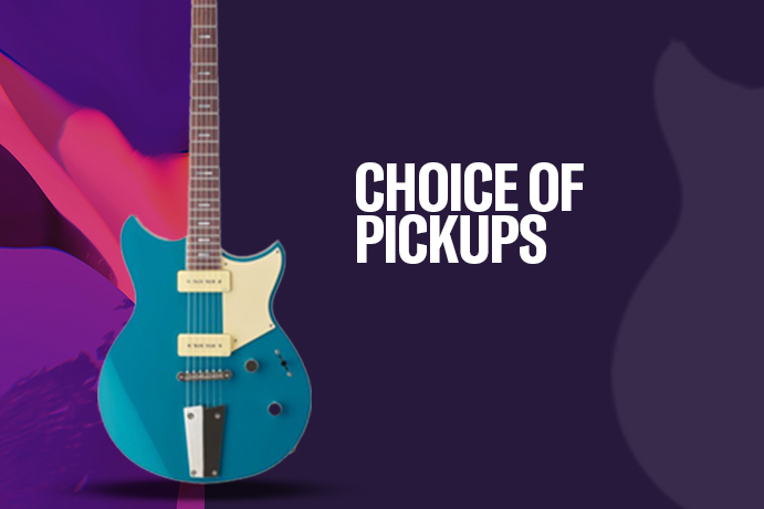 CHOICE OF PICKUPS