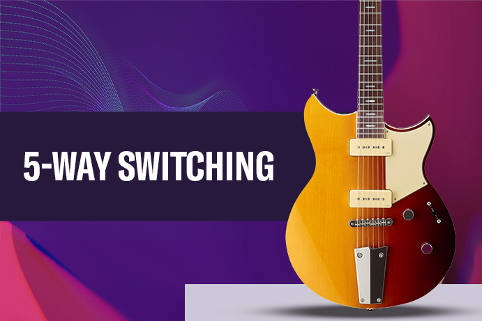 5-WAY SWITCHING