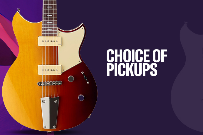 CHOICE OF PICKUPS