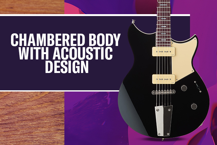CHAMBERED BODY WITH ACOUSTIC DESIGN