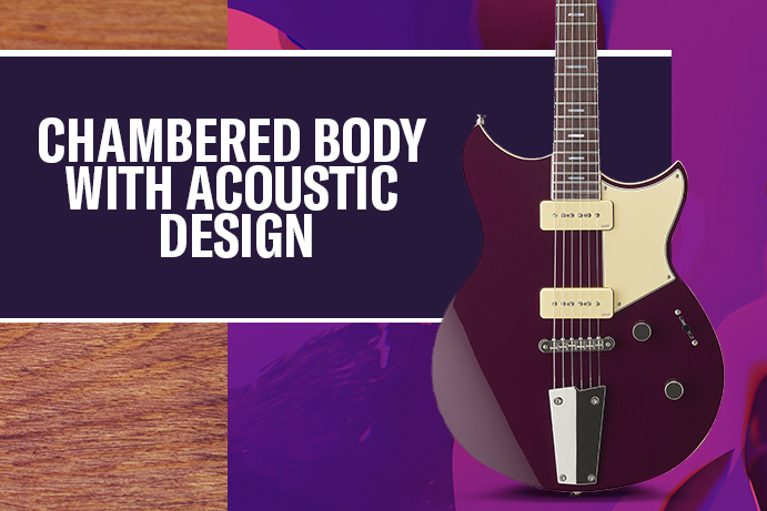 CHAMBERED BODY WITH ACOUSTIC DESIGN