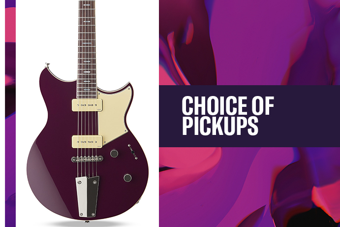 CHOICE OF PICKUPS