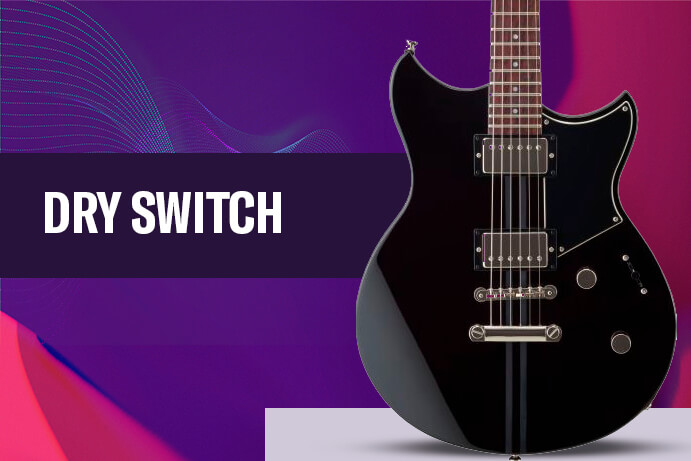 DRY SWITCH