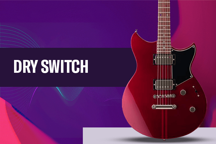 DRY SWITCH