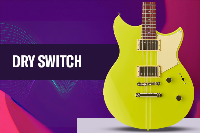DRY SWITCH