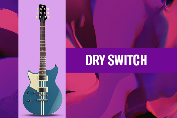 DRY SWITCH