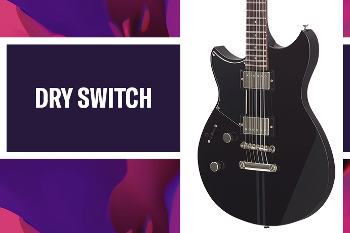 DRY SWITCH
