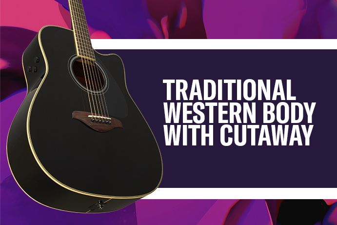 Traditional Western body with cutaway