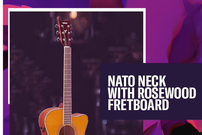 Nato neck with rosewood fretboard