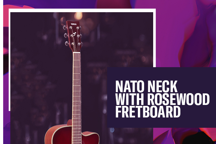 Nato neck with rosewood fretboard