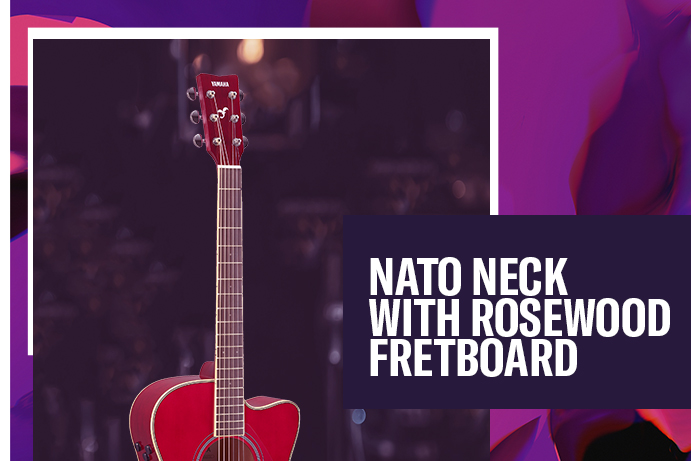 Nato neck with rosewood fretboard