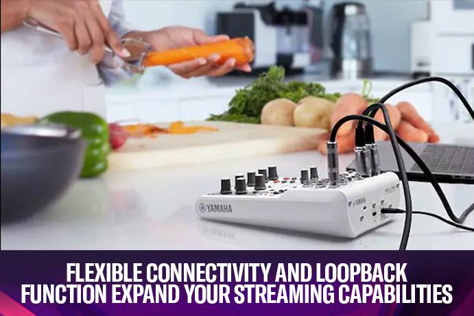 Flexible connectivity and LOOPBACK function expand your streaming capabilities