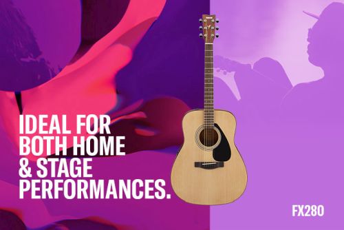 Ideal for both Home & stage performances.