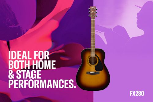 Ideal for both Home & stage performances