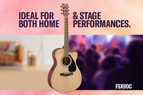 Ideal for both Home & stage performances