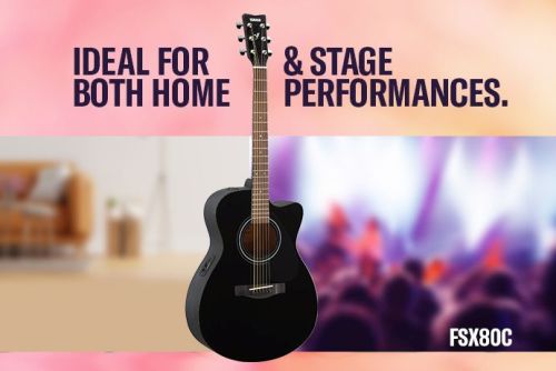 Ideal for both Home & stage performances