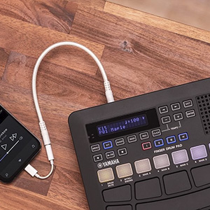 AUX IN TERMINAL