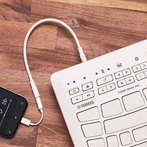 USB TO HOST TERMINAL