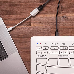 AUX IN TERMINAL