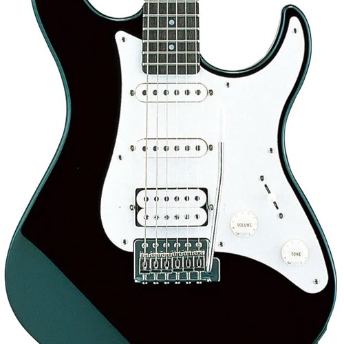 Alder Body