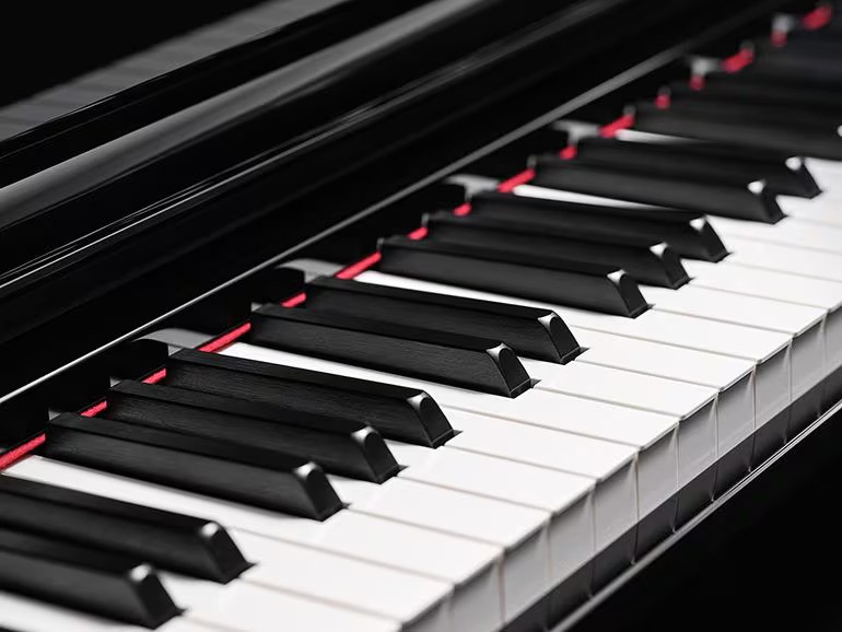 A long lineup of the Voices piano players want