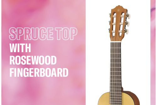 Spruce Top with Rosewood Fingerboard