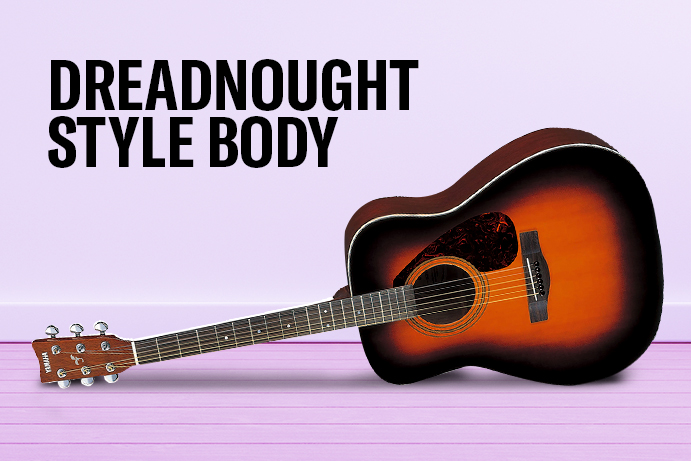 Dreadnought style body