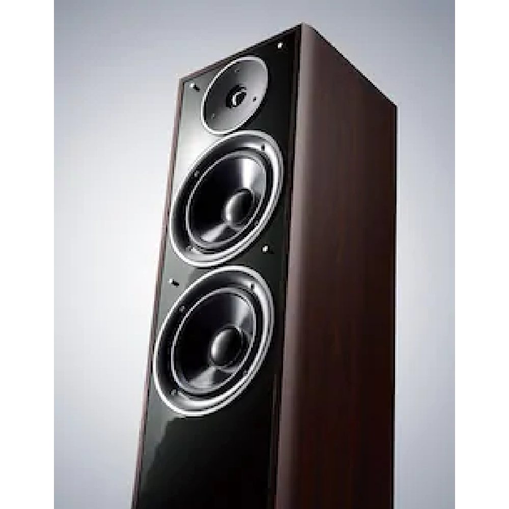 Tight high end and wide bass tones with the new trim ring