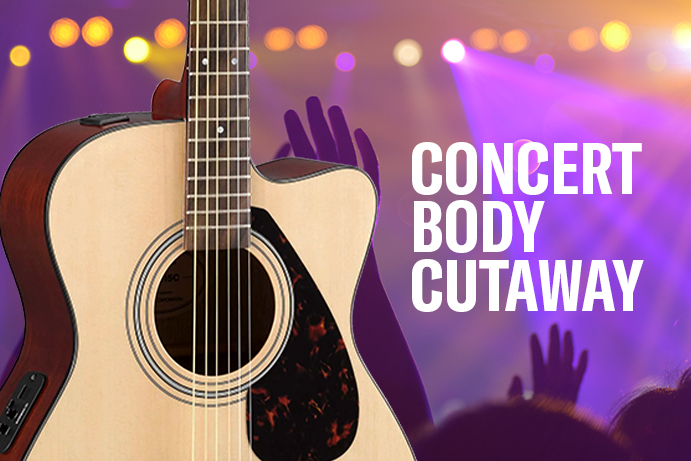Concert Body Cutaway