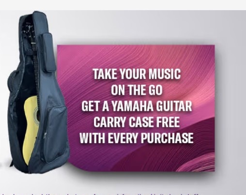 Complimentary Guitar Bags for Protection